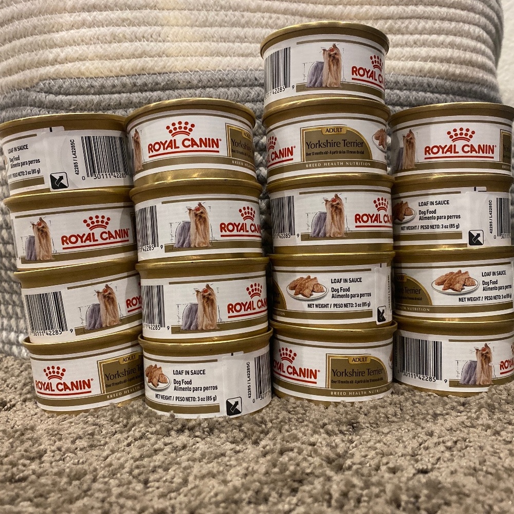 royal canin yorkshire terrier food